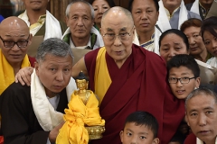 with hhdl